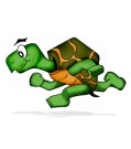 Tortue course à pied