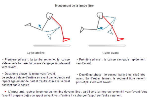 Mouvement de la jambe libre